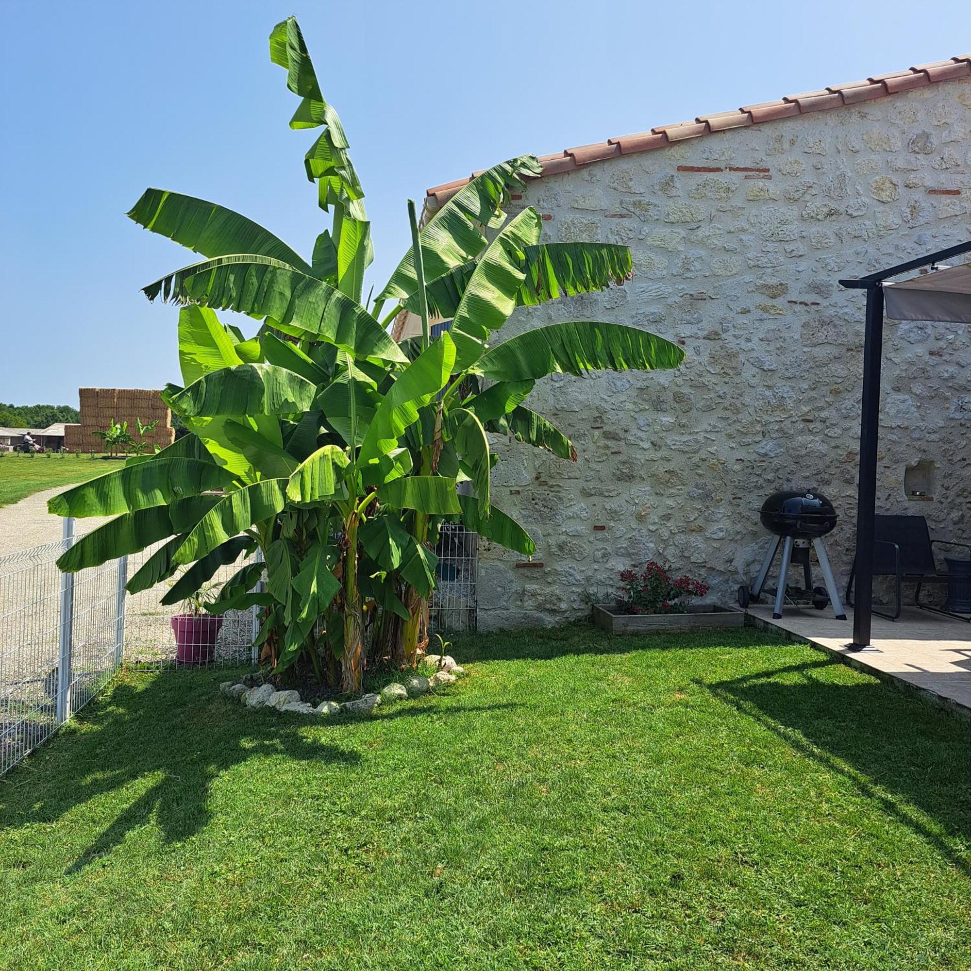Le Domaine Vesque Villa Saint-Pierre-de-Clairac Ngoại thất bức ảnh